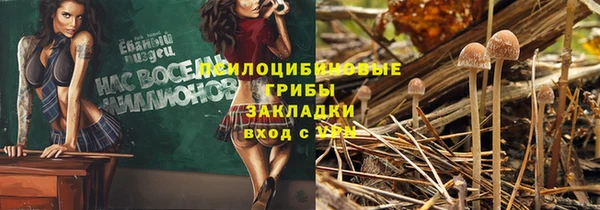 spice Беломорск