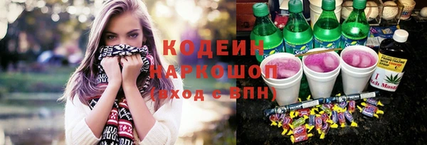шишки Аша
