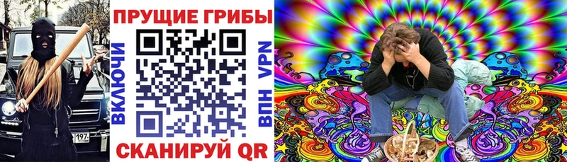 купить  сайты  дарк нет какой сайт  Псилоцибиновые грибы прущие грибы  Первомайск 